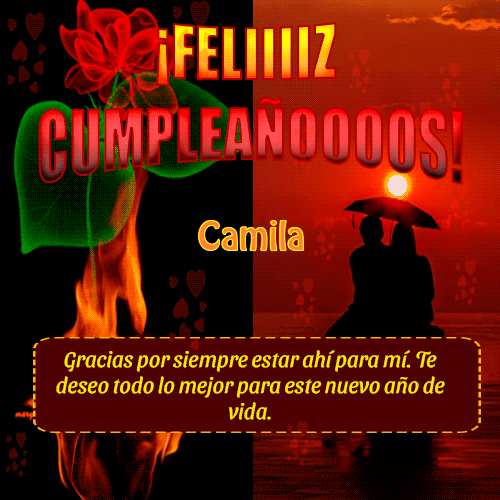 Eres un@ en un millón, gracias por siempre estar ahí para mí. Te deseo todo lo mejor para este nuevo año de vida. Camila