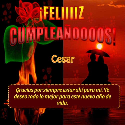 Eres un@ en un millón, gracias por siempre estar ahí para mí. Te deseo todo lo mejor para este nuevo año de vida. Cesar